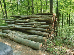 Hochwertiges Eichenstammholz PEFC per LKW (3m-10m)