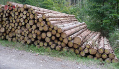 Fichtenstammholz PEFC per LKW (3m-10m) – Sägequalität