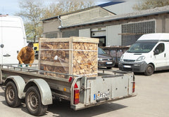 Brennholz Palette - Buche - 30/33 cm - kammergetrocknet - 1 RM