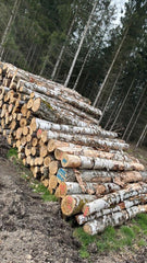 Birkenstammholz PEFC per LKW (3m-10m) – Rohholzqualität
