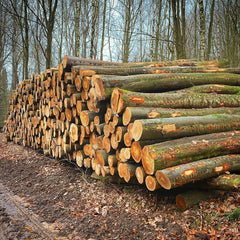 Buchenstammholz per LKW geliefert (3m bis 10m)