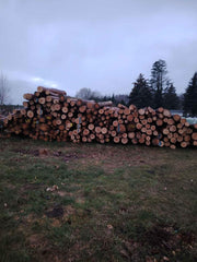 Gemischtes Nadelholz Stammholz PEFC (Kiefer/Fichte) per LKW (3m-10m)